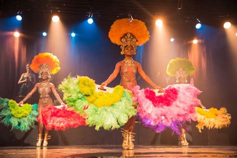 Le Carnaval Tropical de Rio : Une Explosion de Rythme et de Charme avec Tiago Iorc !